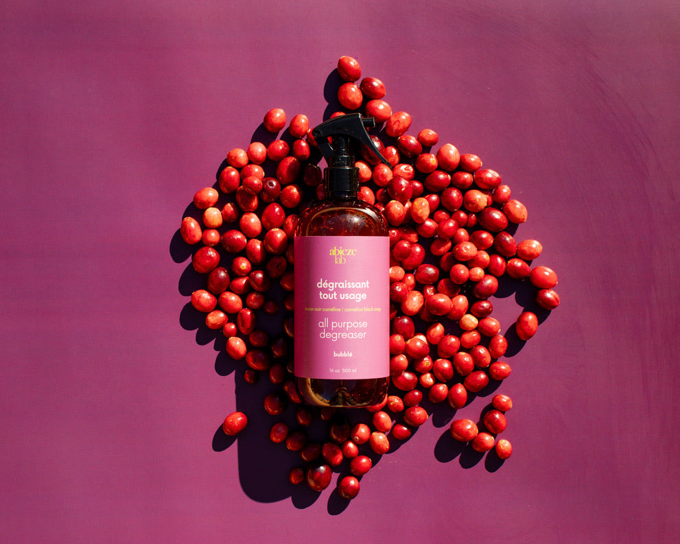 dégraissant tout usage