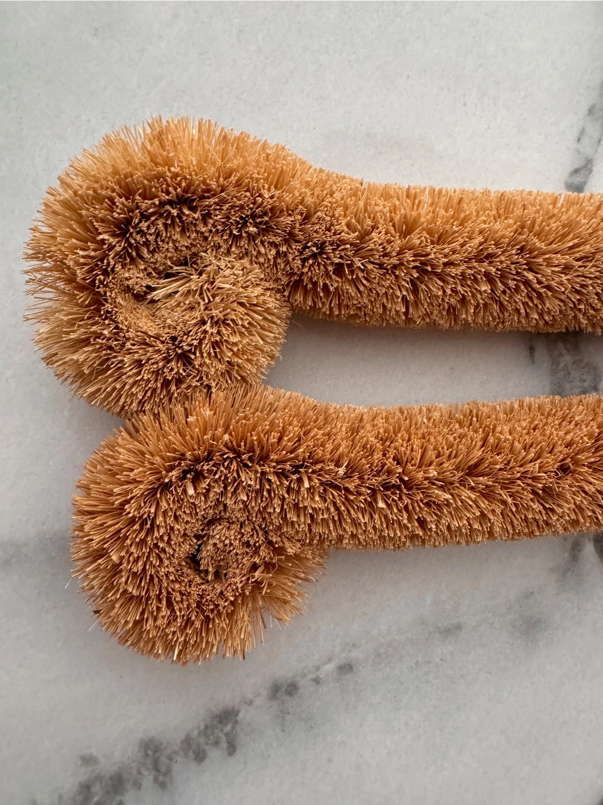Brosse bouteilles polyvalente à base de plantes